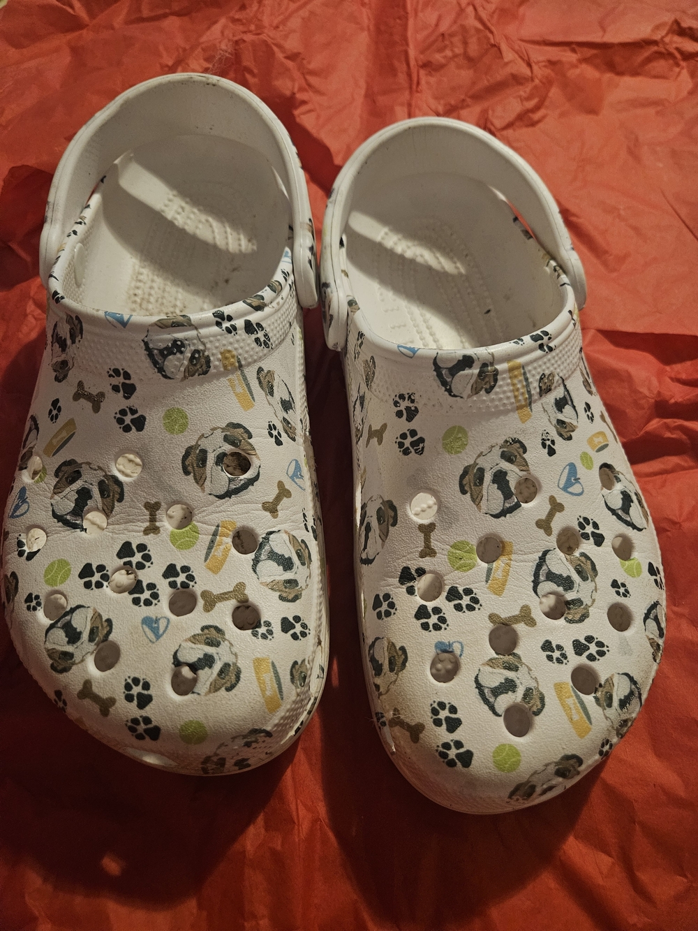 White Slip-On Clogs with Dog Print
